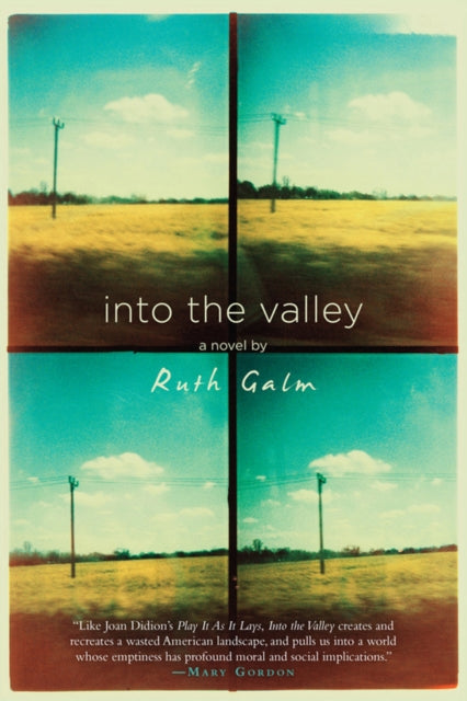 Book cover of: Into The Valley. By: Ruth Galm