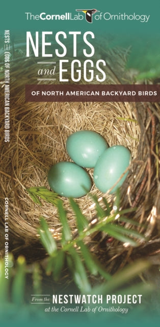 Book cover of: Nests and Eggs of North American Backyard Birds. By: Cornell Lab of Ornithology Staff