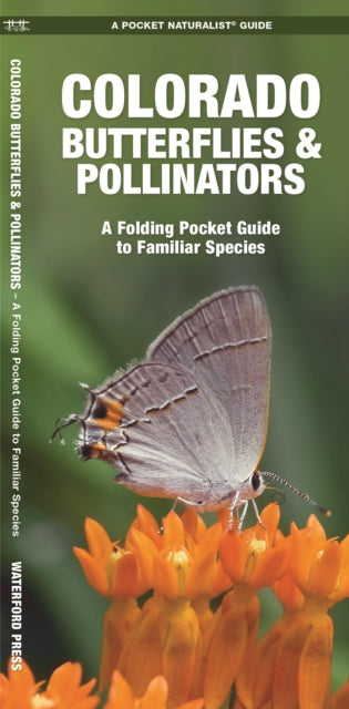 Book cover of: Colorado Butterflies & Pollinators. By: James Kavanagh