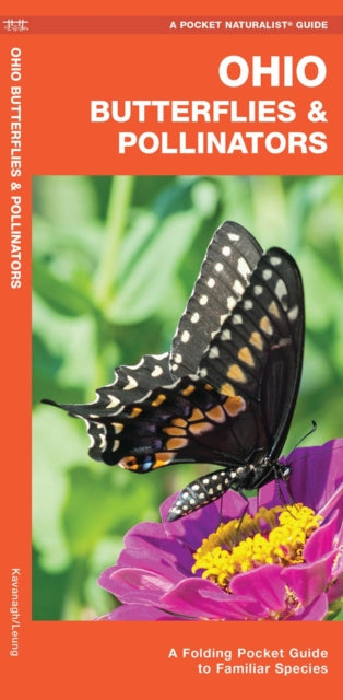 Book cover of: Ohio Butterflies & Pollinators. By: James Kavanagh