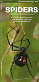 Book cover of: Spiders. By: James Kavanagh