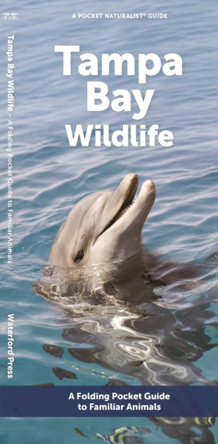 Book cover of: Tampa Bay Wildlife. By: Waterford Press Staff