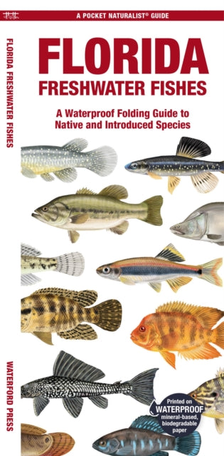 Book cover of: Florida Freshwater Fishes. By: Waterford Press