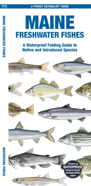 Book cover of: Maine Freshwater Fishes. By: Waterford Press