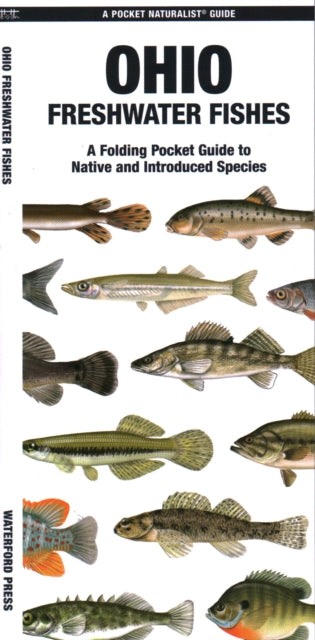 Book cover of: Ohio Freshwater Fishes. By: Waterford Press Staff