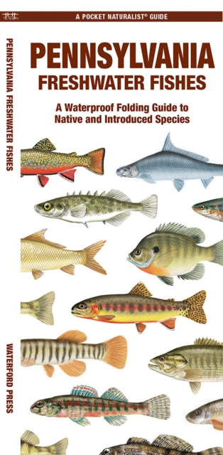 Book cover of: Pennsylvania Freshwater Fishes. By: Waterford Press Staff
