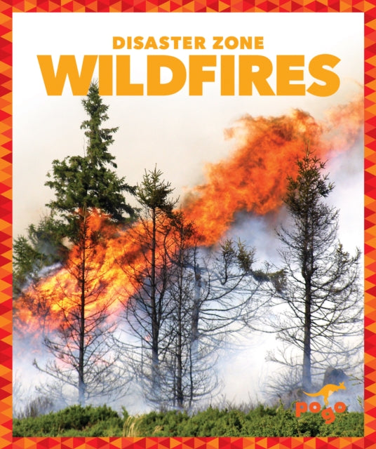 Book cover of: Wildfires. By: Vanessa Black
