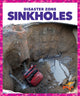 Book cover of: Sinkholes. By: Vanessa Black