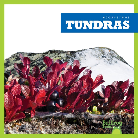 Book cover of: Tundras