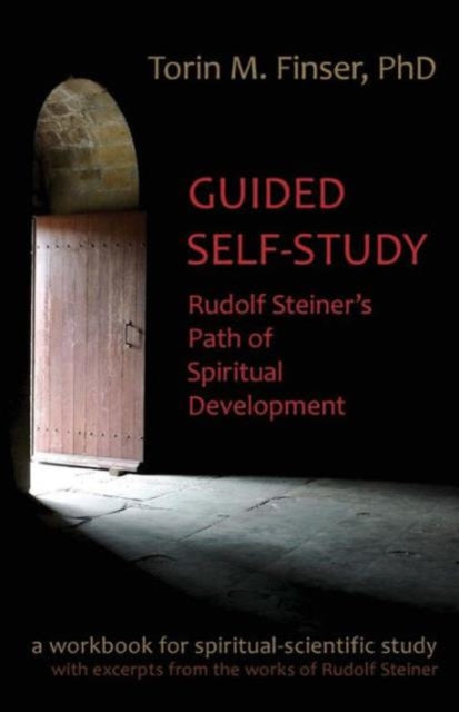 Book cover of: Guided Self-Study. By: Torin M. Finser
