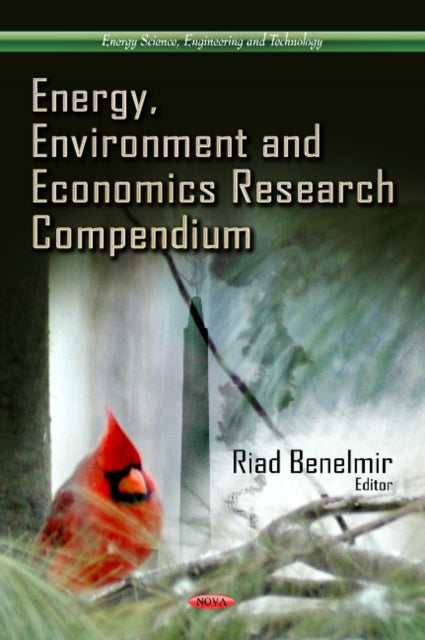 Book cover of: Energy, Environment & Economics Research Compendium