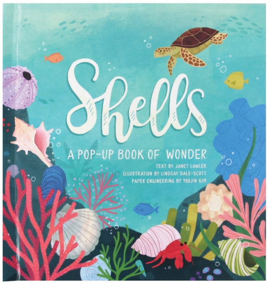 Shells, A Pop-Up Book of Wonder 9781623485269 Janet Lawler