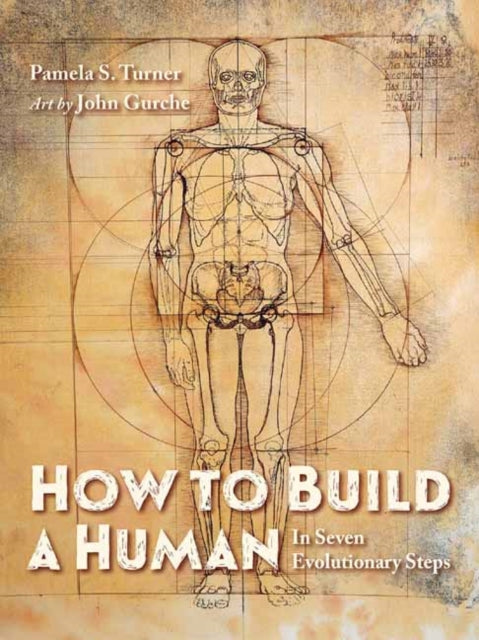 Book cover of: How to Build a Human. By: Pamela S. Turner