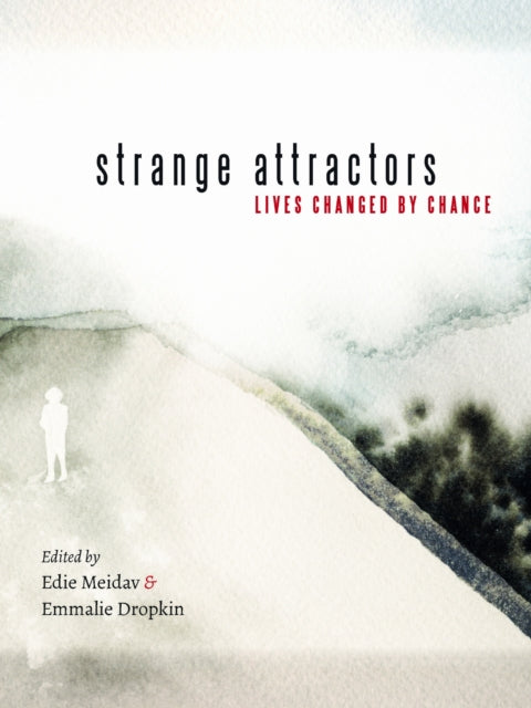 Book cover of: Strange Attractors. By: Edie Meidav