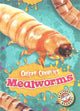 Book cover of: Mealworms. By: Kari Schuetz