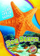 Book cover of: Sea Stars. By: Rebecca Pettiford