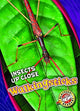 Book cover of: Walkingsticks. By: Patrick Perish