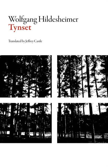 Book cover of: Tynset. By: Wolfgang Hildesheimer