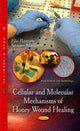 Book cover of: Cellular & Molecular Mechanisms of Honey Wound Healing