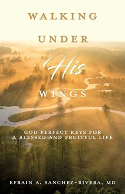 Book cover of: Walking Under His Wings