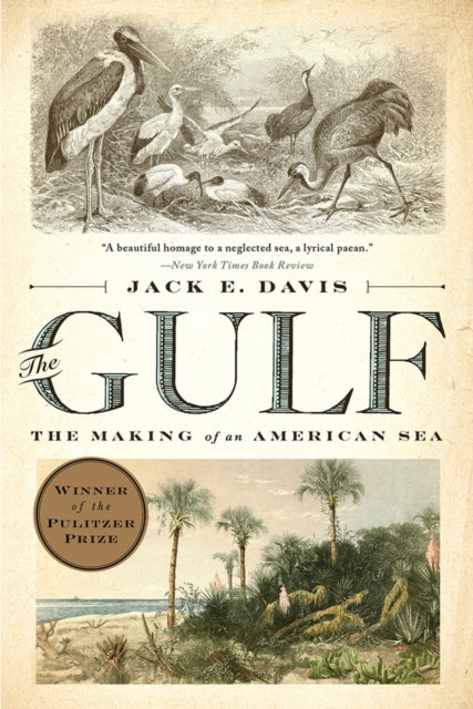 Book cover of: Gulf