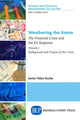 Book cover of: Weathering the Storm. By: Javier Villar Burke