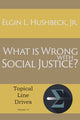Book cover of: What Is Wrong with Social Justice