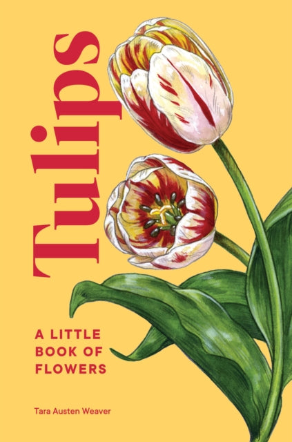 Book cover of: Tulips. By: Tara Austen Weaver