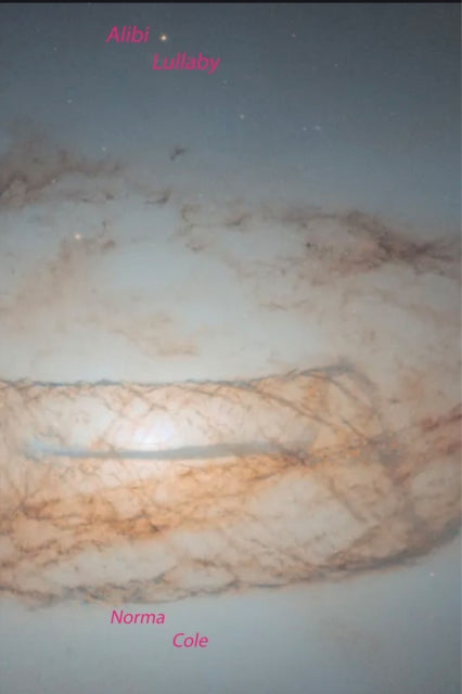 Book cover of: Alibi Lullaby. By: Norma Cole