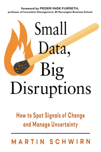 Book cover of: Small Data, Big Disruptions. By: Martin Schwirn