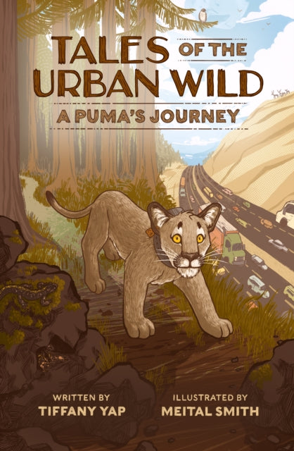 Book cover of: Tales of the Urban Wild: A Puma's Journey. By: Tiffany Yap