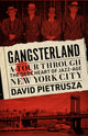 Book cover of: Gangsterland. By: David Pietrusza