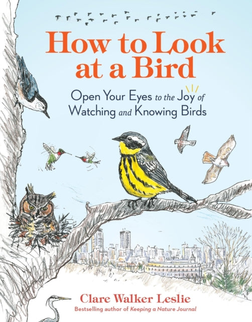 Book cover of: How to Look at a Bird. By: Clare Walker Leslie