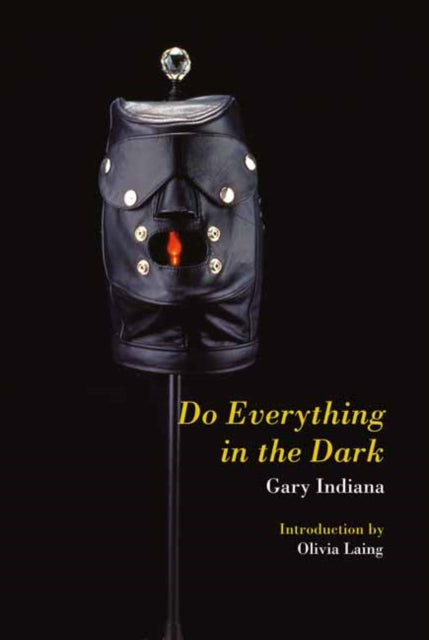 Book cover of: Do Everything in the Dark. By: Gary Indiana