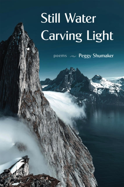 Book cover of: Still Water Carving Light. By: Peggy Shumaker
