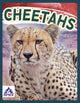 Book cover of: Cheetahs. By: Sophie Geister-Jones