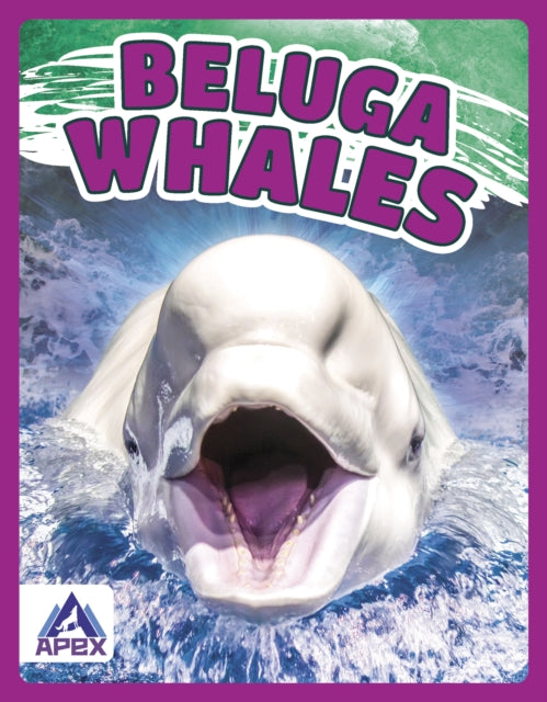 Book cover of: Beluga Whales. By: Angela Lim