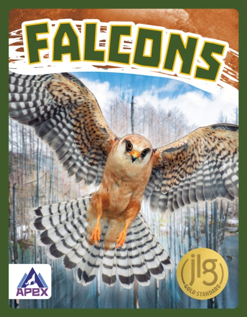 Book cover of: Falcons. By: Connor Stratton