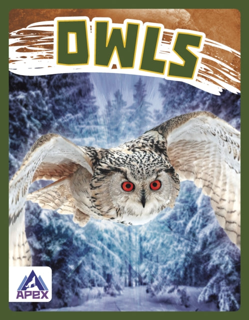 Book cover of: Owls. By: Golriz Golkar