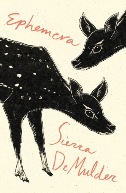 Book cover of: Ephemera. By: Sierra DeMulder