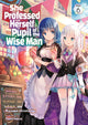 Book cover of: She Professed Herself Pupil of the Wise Man (Light Novel) Vol. 6. By: Ryusen Ryusen Hirotsugu