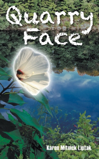 Book cover of: Quarry Face. By: Karen Mitnick Liptak
