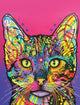 Book cover of: Dean Russo Shiva Cat Journal. By: Dean Russo