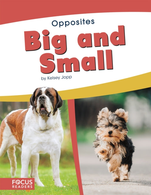 Book cover of: Big and Small. By: Kelsey Jopp