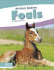 Book cover of: Foals. By: Meg Gaertner