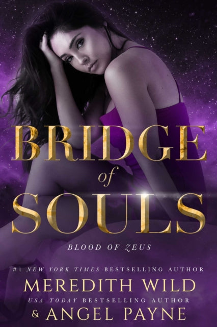 Book cover of: Bridge of Souls. By: Meredith Wild