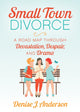 Book cover of: Small Town Divorce. By: Denise J. Anderson