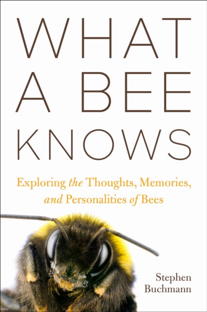 Book cover of: What a Bee Knows. By: Stephen L. Buchmann