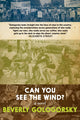 Can You See the Wind? 9781644211106 Beverly Gologorsky