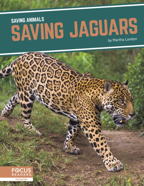 Book cover of: Saving Jaguars. By: Martha London